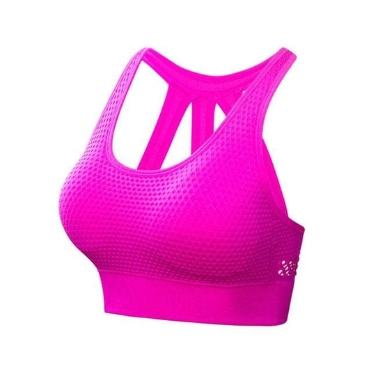 Women Breathable Push up Sports Bra Alpha C Apparel Rose Red / L