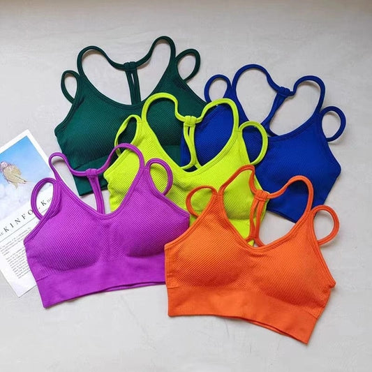 Women Breathable Sports Bra Shockproof Fitness Tops Gym Crop Top Brassiere Push Up Sport Bras Gym Workout Top Seamless Yoga Bra Alpha C Apparel