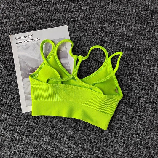 Women Breathable Sports Bra Shockproof Fitness Tops Gym Crop Top Brassiere Push Up Sport Bras Gym Workout Top Seamless Yoga Bra Alpha C Apparel